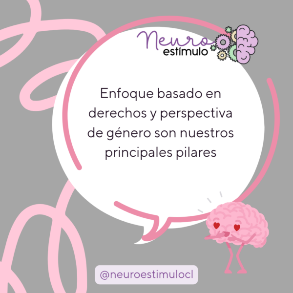 Enfoque basado en derechos y perspectiva de género son nuestros principales pilares.